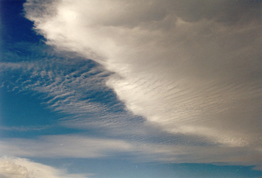 anvil thunderstorm_anvils : McLeans Ridges, NSW   25 January 2004