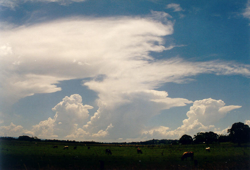 thunderstorm cumulonimbus_incus : S of Kyogle, NSW   26 January 2004