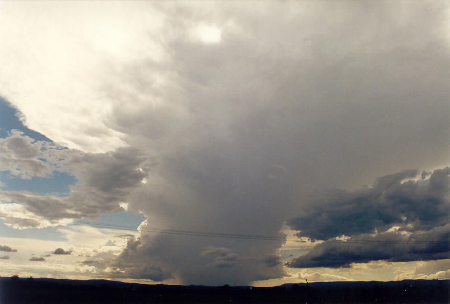 anvil thunderstorm_anvils : S of Kyogle, NSW   26 January 2004