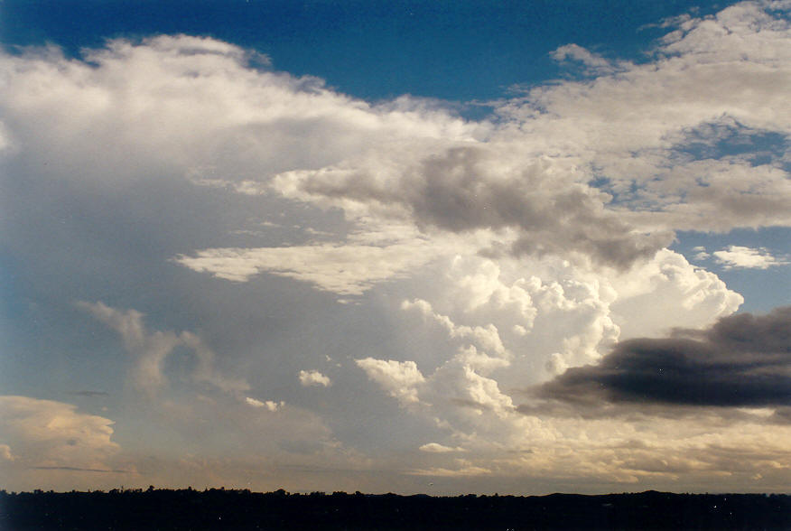 thunderstorm cumulonimbus_incus : N of Casino, NSW   26 January 2004