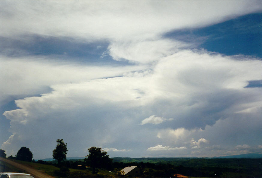 anvil thunderstorm_anvils : McLeans Ridges, NSW   26 January 2004