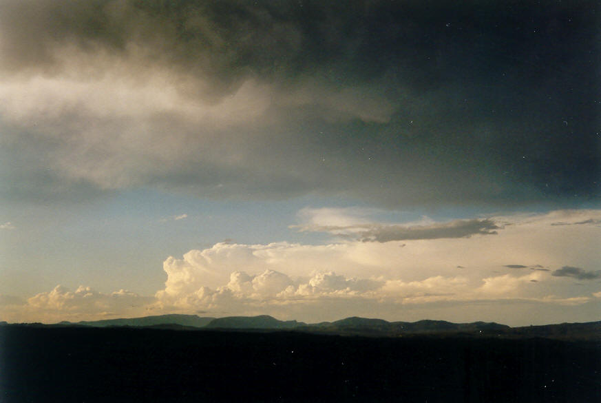 anvil thunderstorm_anvils : McLeans Ridges, NSW   26 January 2004