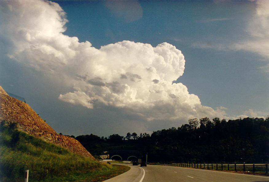 updraft thunderstorm_updrafts : Tweed Coast, NSW   28 January 2004