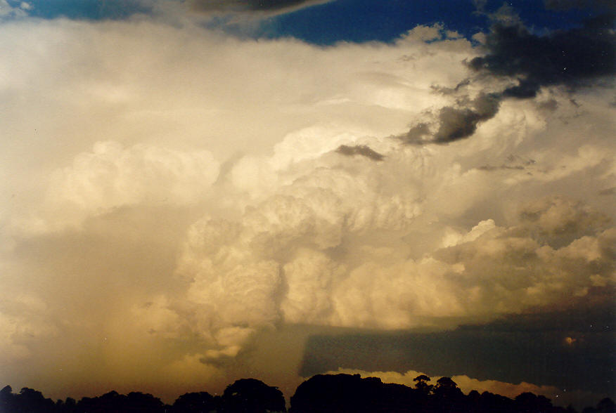 raincascade precipitation_cascade : McLeans Ridges, NSW   28 January 2004