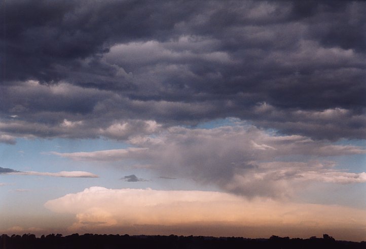 contributions received : Schofields, NSW<BR>Photo by Geoff Thurtell   30 January 2004