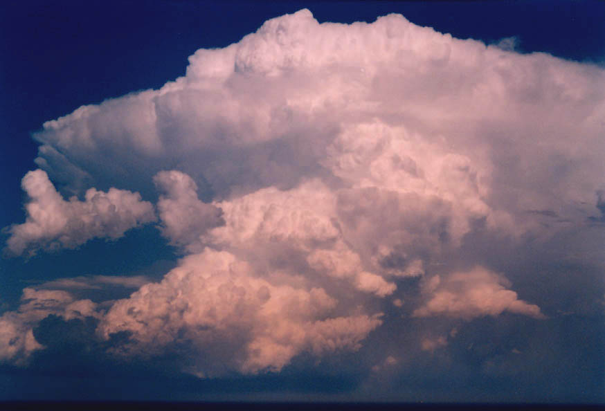 updraft thunderstorm_updrafts : near Manly, NSW   30 January 2004