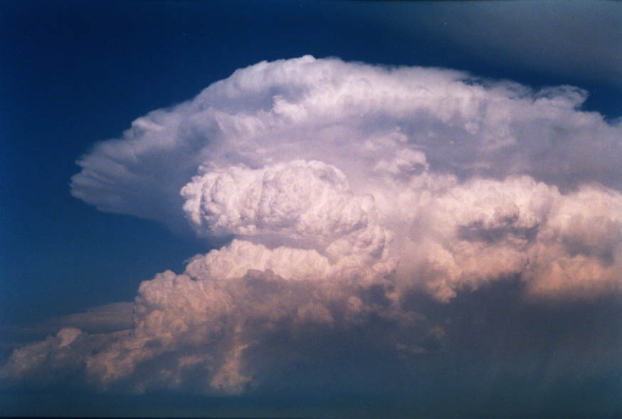 cumulonimbus supercell_thunderstorm : near Manly, NSW   30 January 2004