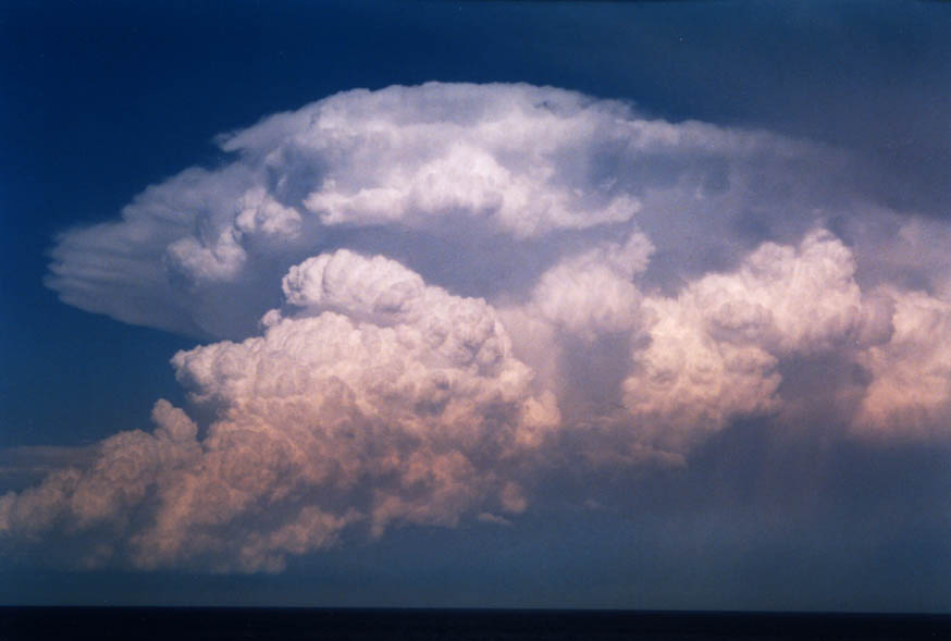 cumulonimbus supercell_thunderstorm : near Manly, NSW   30 January 2004