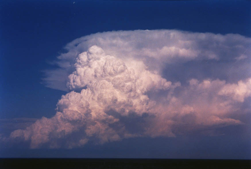 updraft thunderstorm_updrafts : near Manly, NSW   30 January 2004