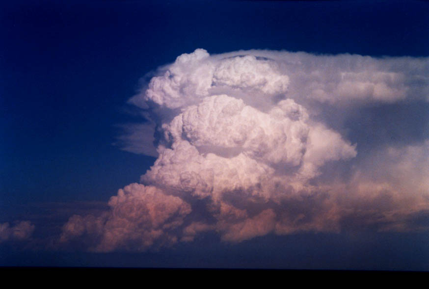 updraft thunderstorm_updrafts : near Manly, NSW   30 January 2004