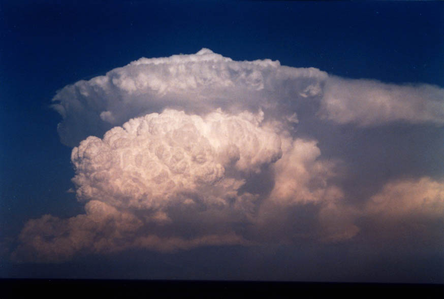 updraft thunderstorm_updrafts : near Manly, NSW   30 January 2004