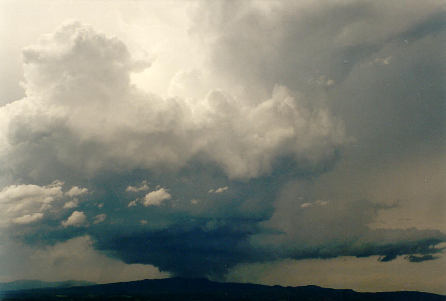 inflowband thunderstorm_inflow_band : McLeans Ridges, NSW   30 January 2004