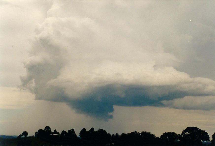 cumulonimbus thunderstorm_base : McLeans Ridges, NSW   30 January 2004
