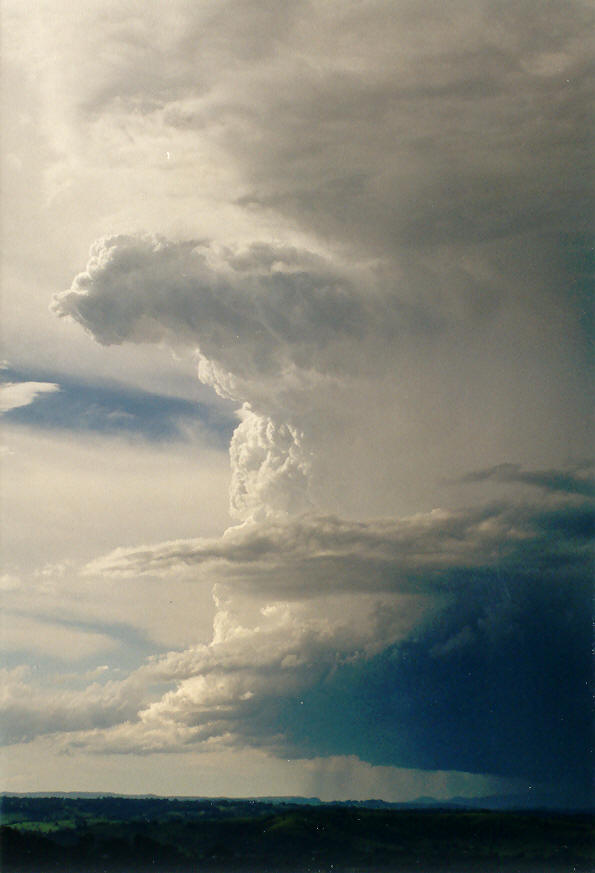 updraft thunderstorm_updrafts : McLeans Ridges, NSW   30 January 2004