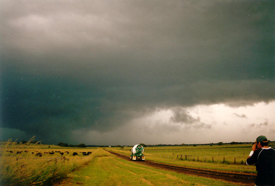 favourites michael_bath : McKees Hill, NSW   18 March 2004