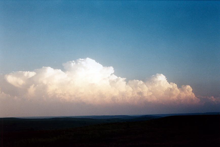 thunderstorm cumulonimbus_incus : NW of Topeka, Kansas, USA   24 May 2004