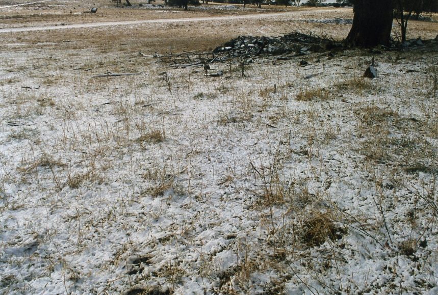 snow snow_pictures : Guyra, NSW   20 June 2004