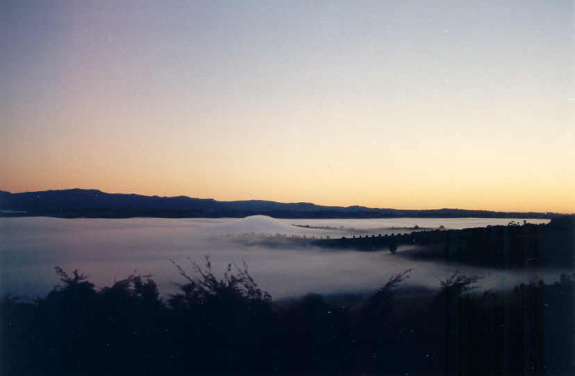 fogmist fog_mist_frost : McLeans Ridges, NSW   29 June 2004