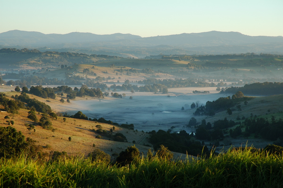 fogmist fog_mist_frost : McLeans Ridges, NSW   1 July 2004