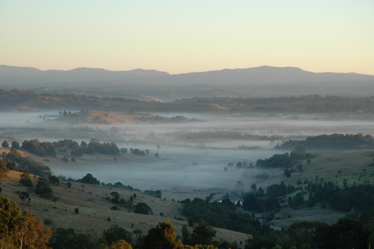 fogmist fog_mist_frost : McLeans Ridges, NSW   2 July 2004