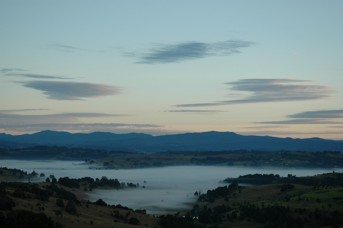 fogmist fog_mist_frost : McLeans Ridges, NSW   5 July 2004