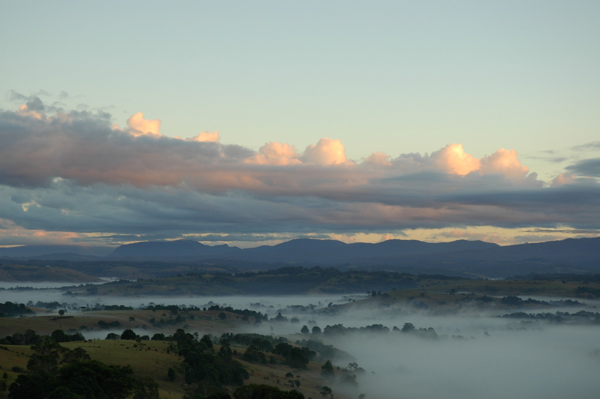 fogmist fog_mist_frost : McLeans Ridges, NSW   13 July 2004