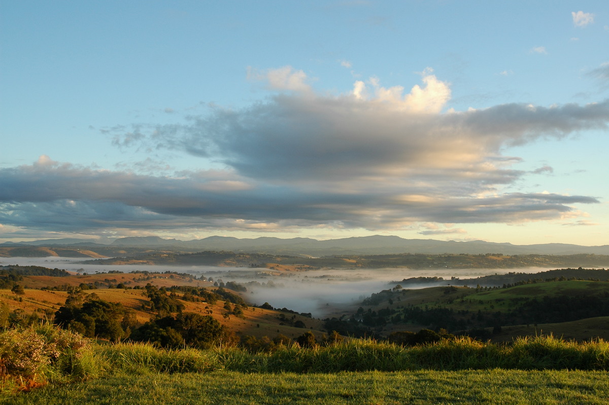 fogmist fog_mist_frost : McLeans Ridges, NSW   13 July 2004