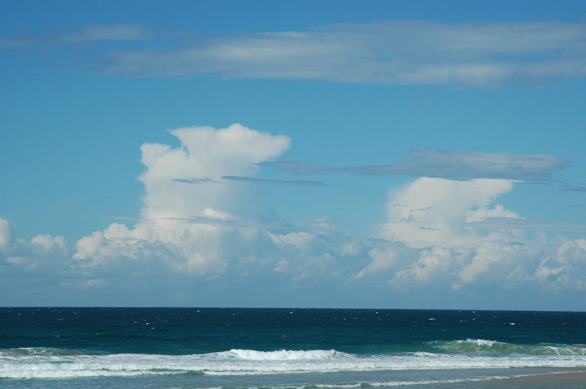 cumulus mediocris : Cabarita, NSW   15 July 2004