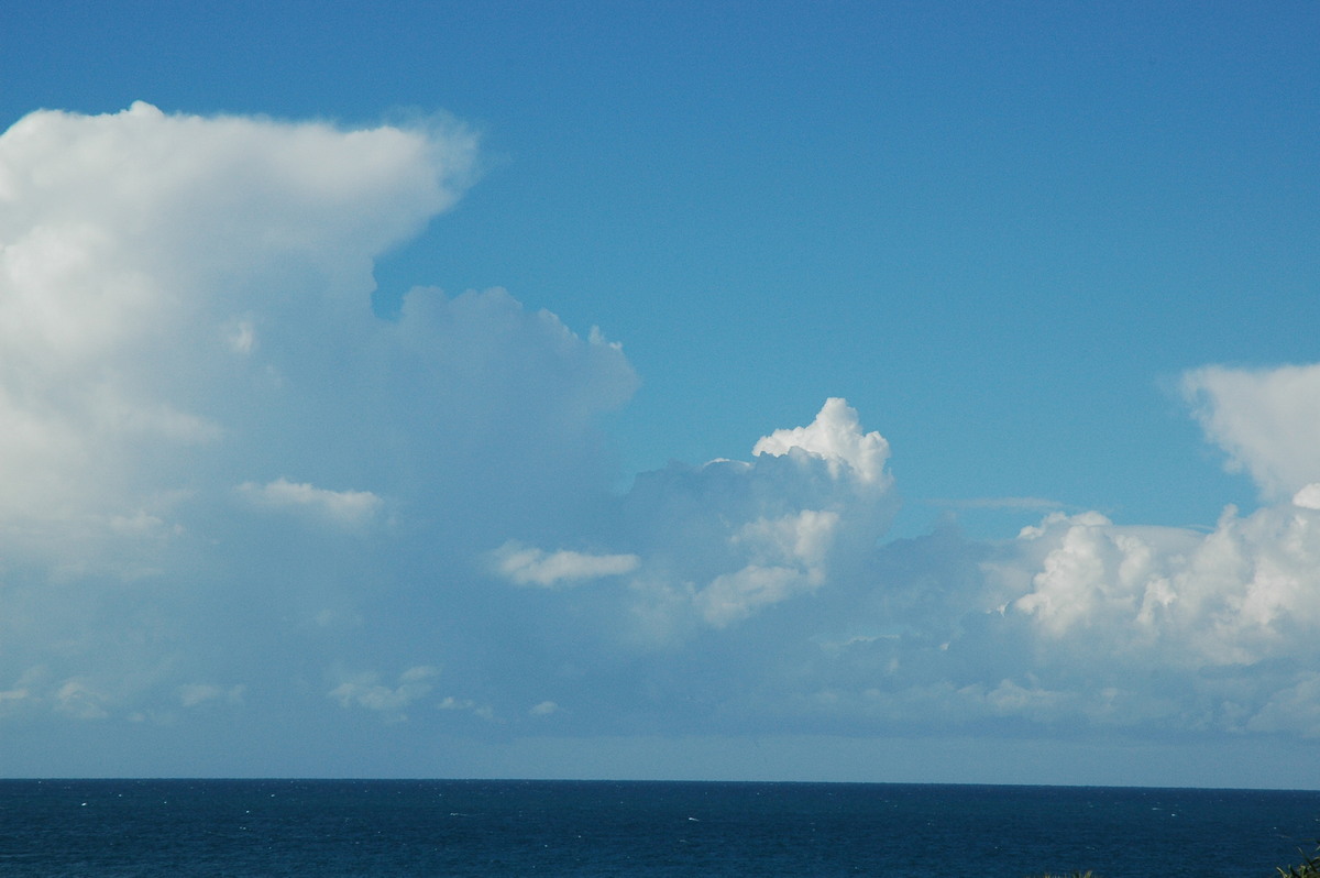 cumulus congestus : Cabarita, NSW   15 July 2004