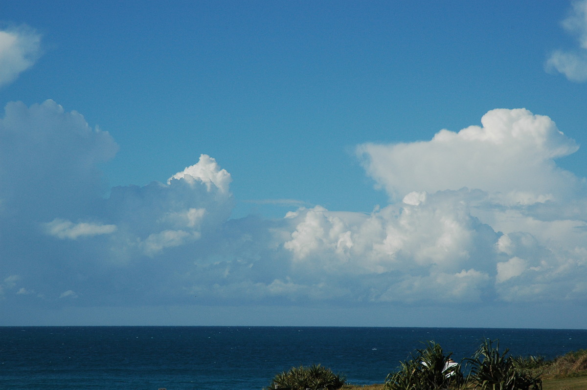 cumulus congestus : Cabarita, NSW   15 July 2004