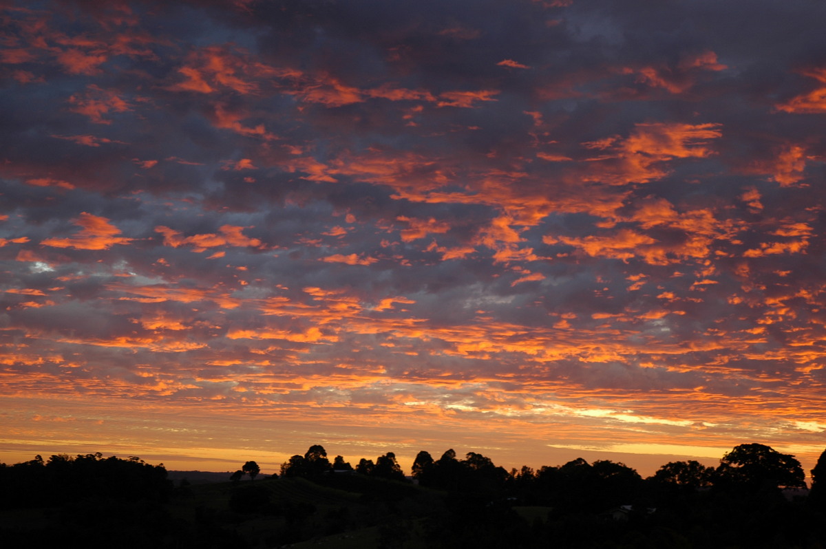 altocumulus mackerel_sky : McLeans Ridges, NSW   26 July 2004