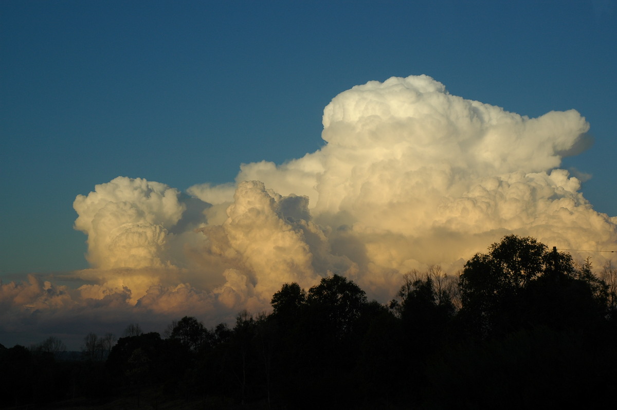 cumulus congestus : McLeans Ridges, NSW   29 July 2004