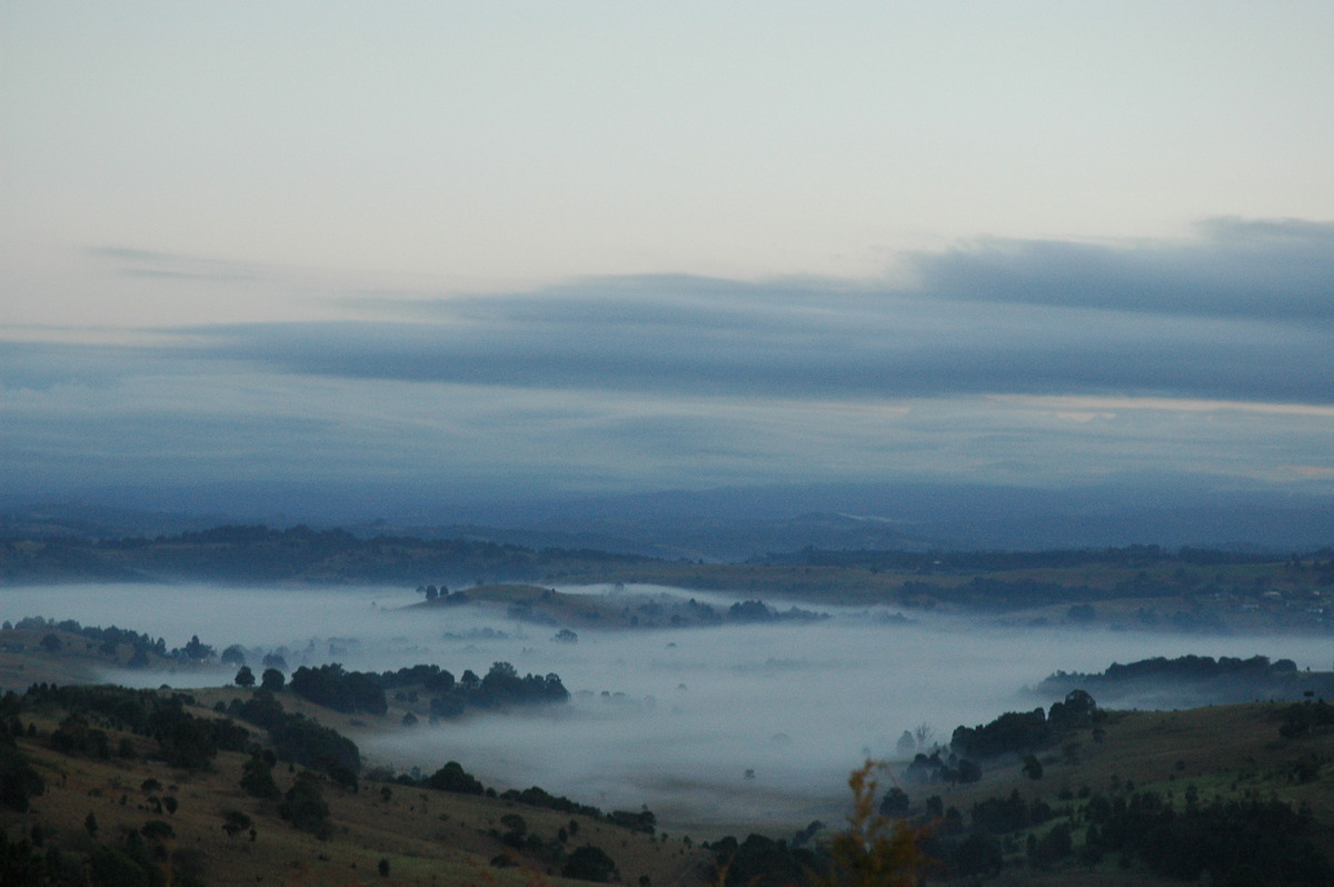 fogmist fog_mist_frost : McLeans Ridges, NSW   30 July 2004