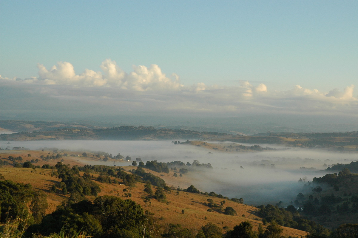 fogmist fog_mist_frost : McLeans Ridges, NSW   30 July 2004