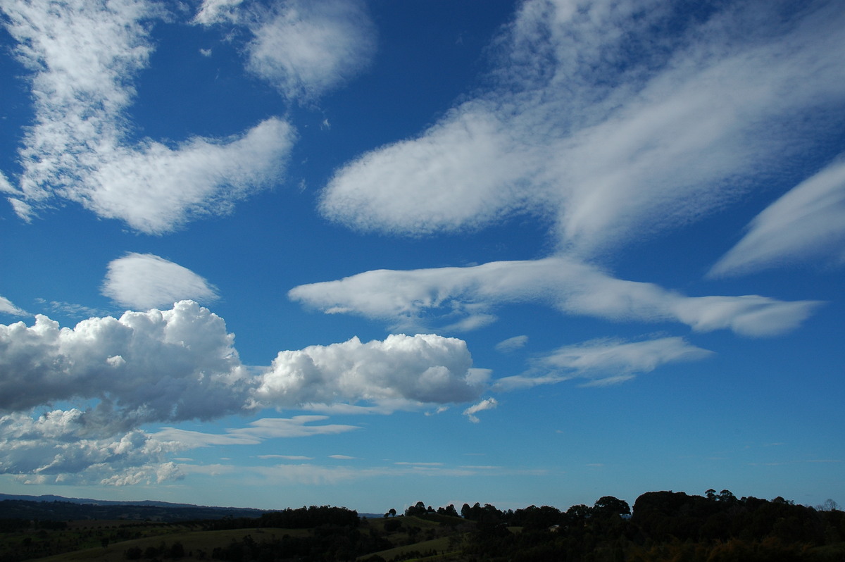 cumulus mediocris : McLeans Ridges, NSW   1 August 2004