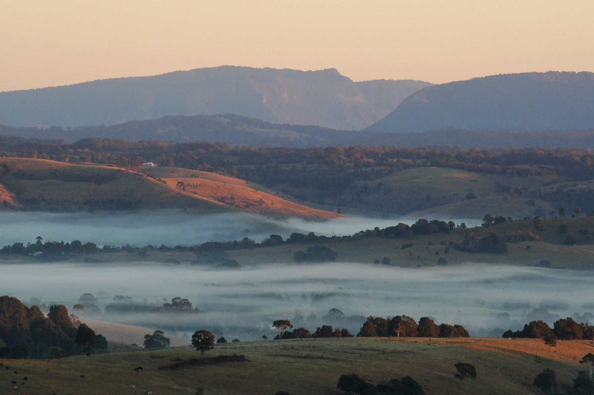 favourites michael_bath : McLeans Ridges, NSW   10 August 2004