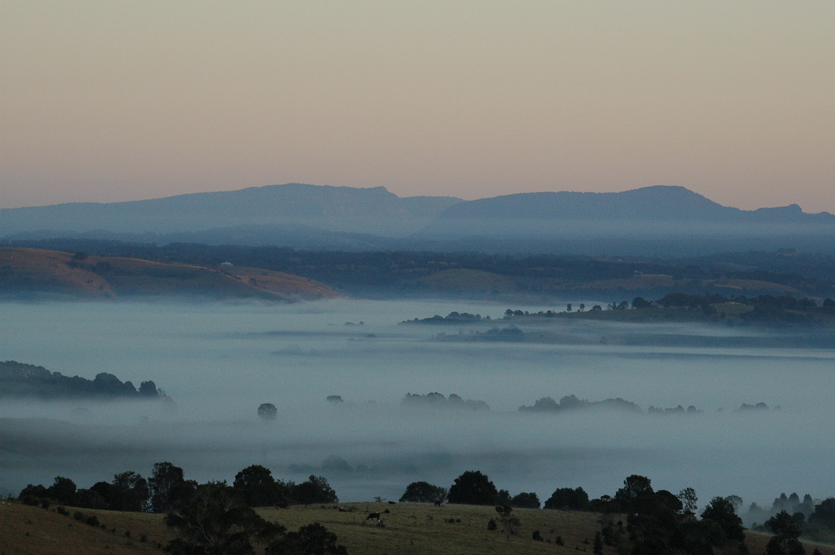 fogmist fog_mist_frost : McLeans Ridges, NSW   12 August 2004