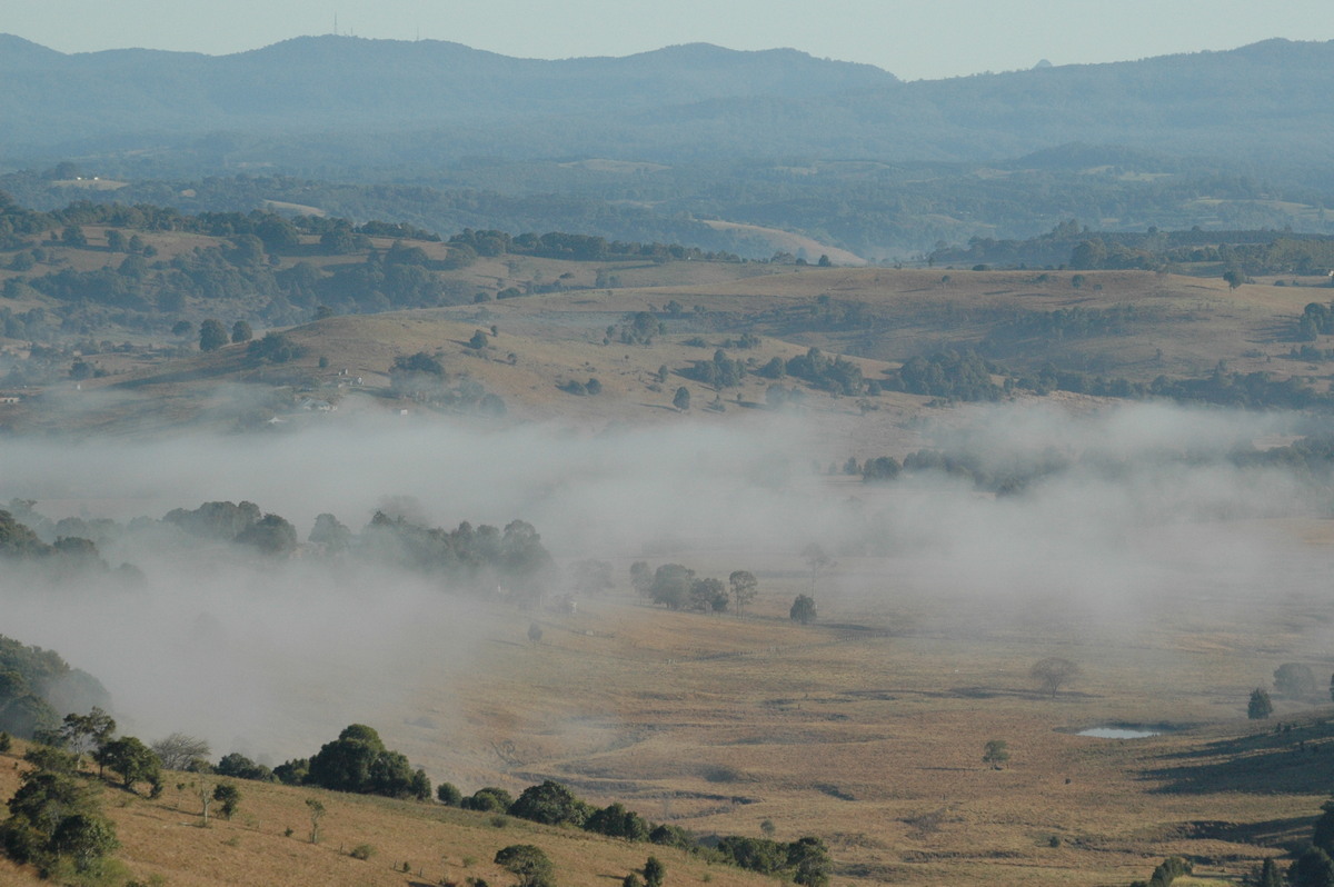 fogmist fog_mist_frost : McLeans Ridges, NSW   12 August 2004