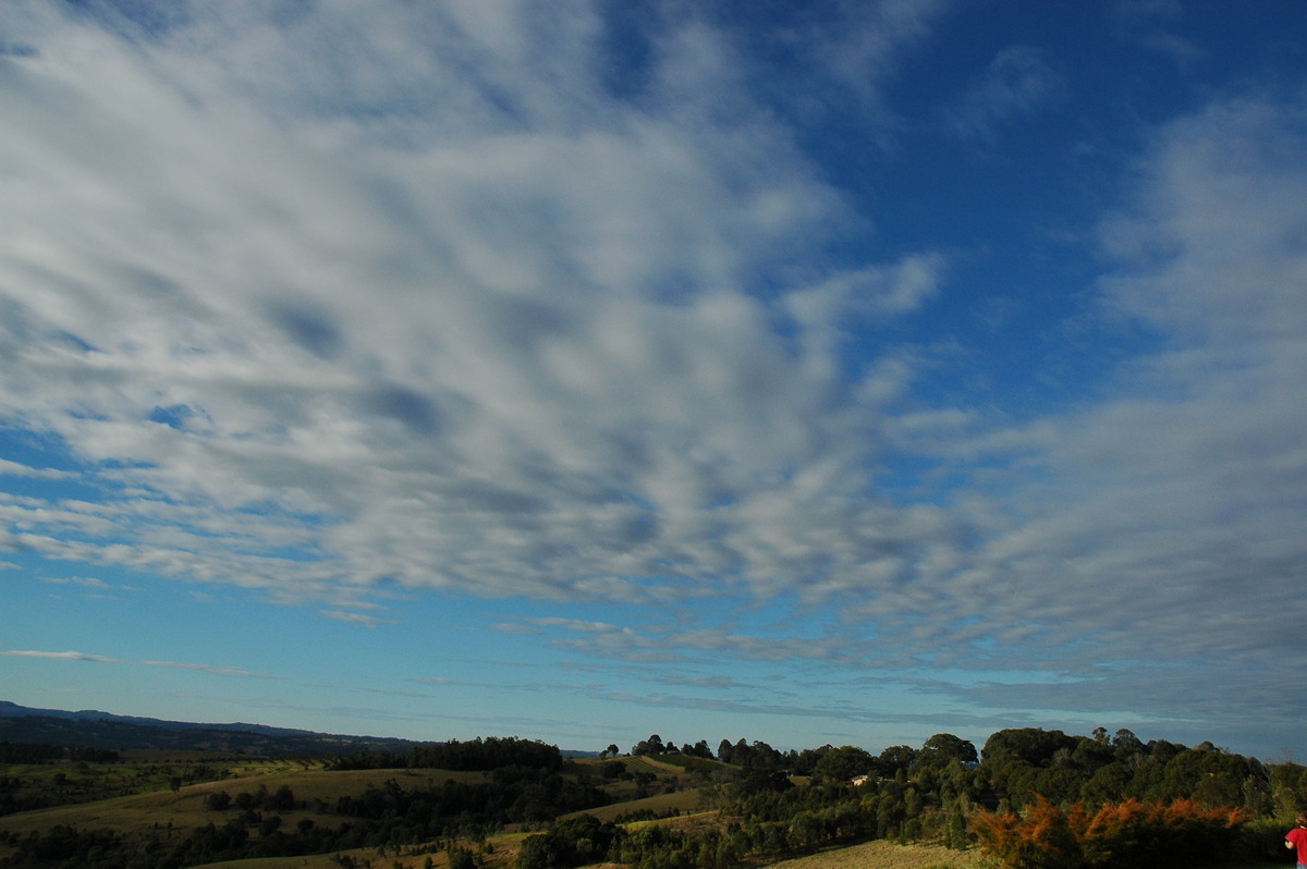 altocumulus undulatus : McLeans Ridges, NSW   15 August 2004