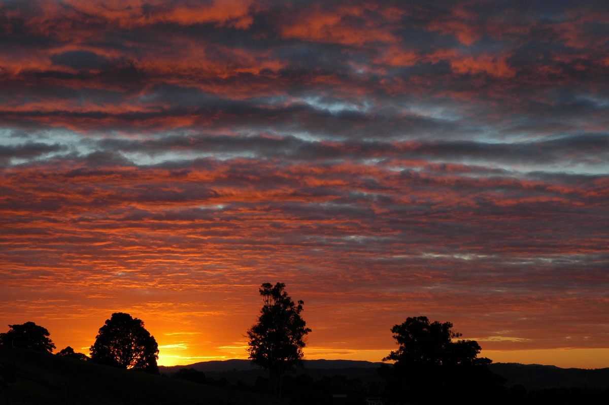 altocumulus altocumulus_cloud : McLeans Ridges, NSW   15 August 2004