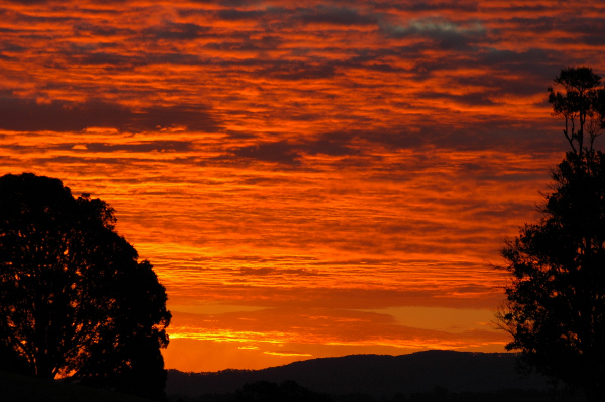 altocumulus altocumulus_cloud : McLeans Ridges, NSW   15 August 2004