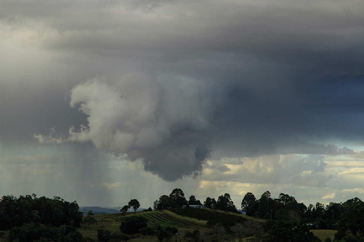 raincascade precipitation_cascade : McLeans Ridges, NSW   18 August 2004