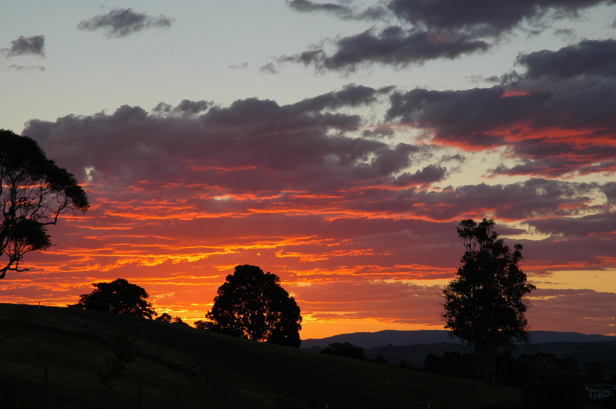 sunset sunset_pictures : McLeans Ridges, NSW   20 August 2004