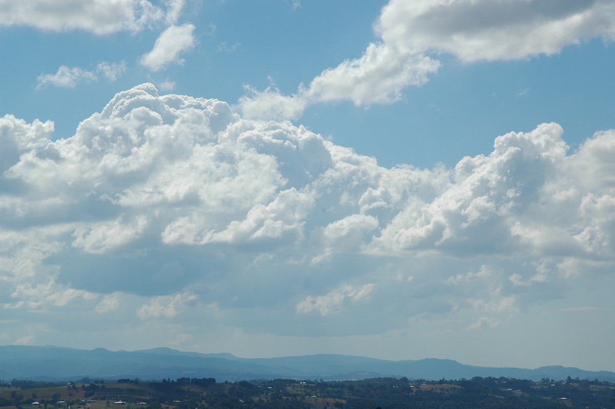 cumulus congestus : McLeans Ridges, NSW   24 August 2004