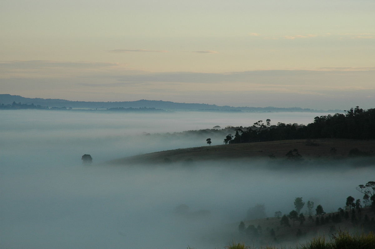 fogmist fog_mist_frost : McLeans Ridges, NSW   26 August 2004