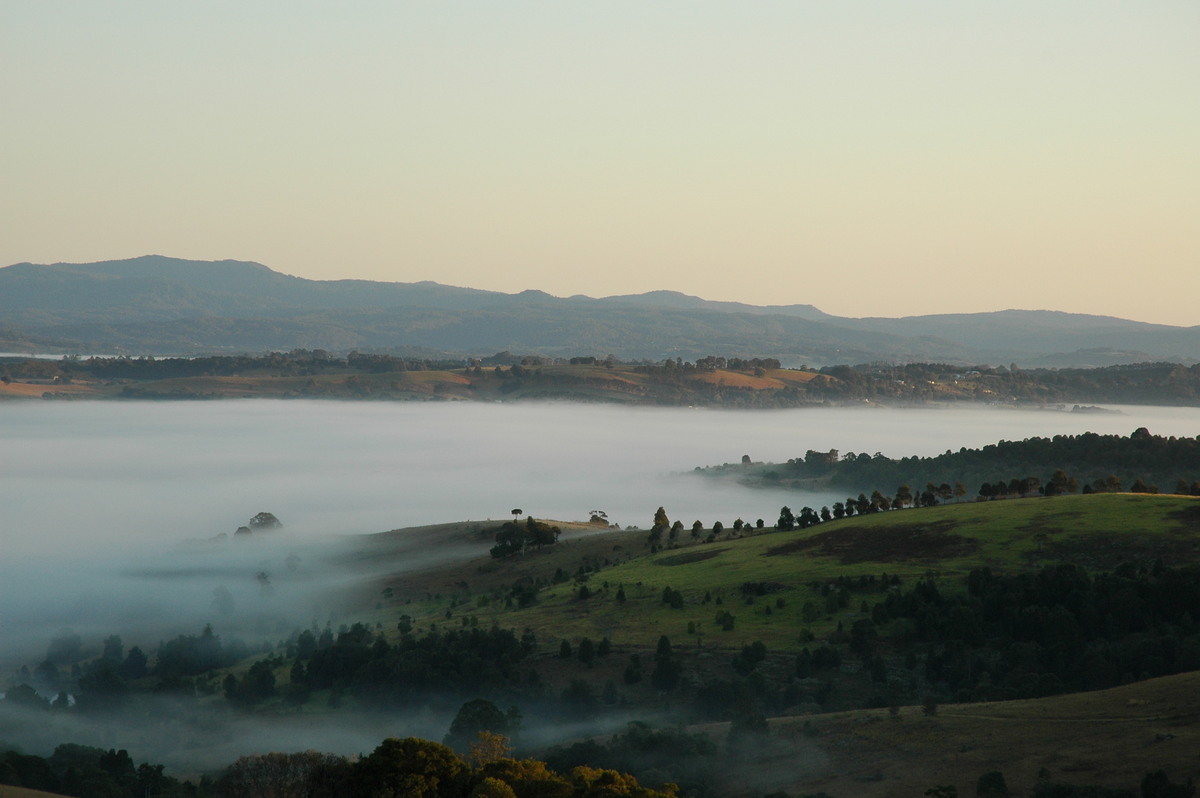fogmist fog_mist_frost : McLeans Ridges, NSW   27 August 2004