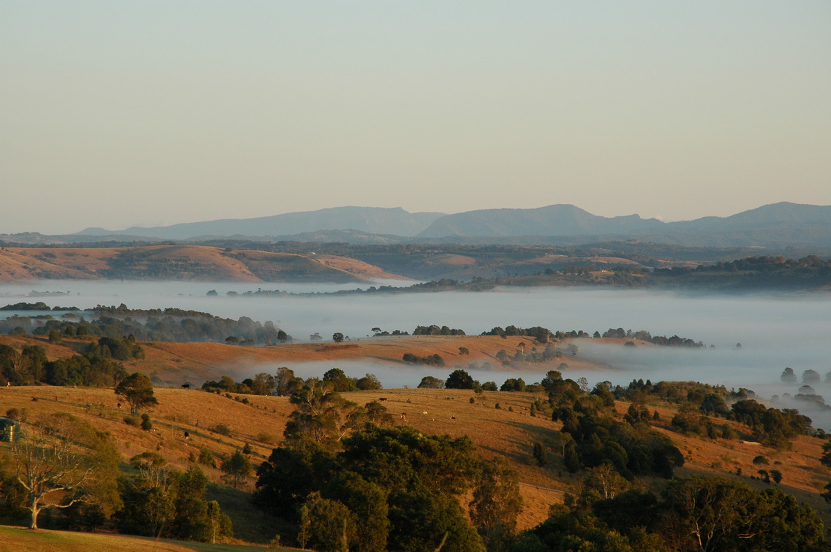 fogmist fog_mist_frost : McLeans Ridges, NSW   27 August 2004