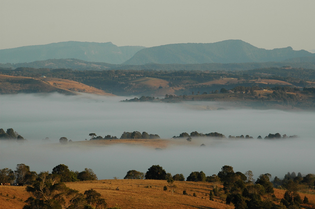 fogmist fog_mist_frost : McLeans Ridges, NSW   27 August 2004