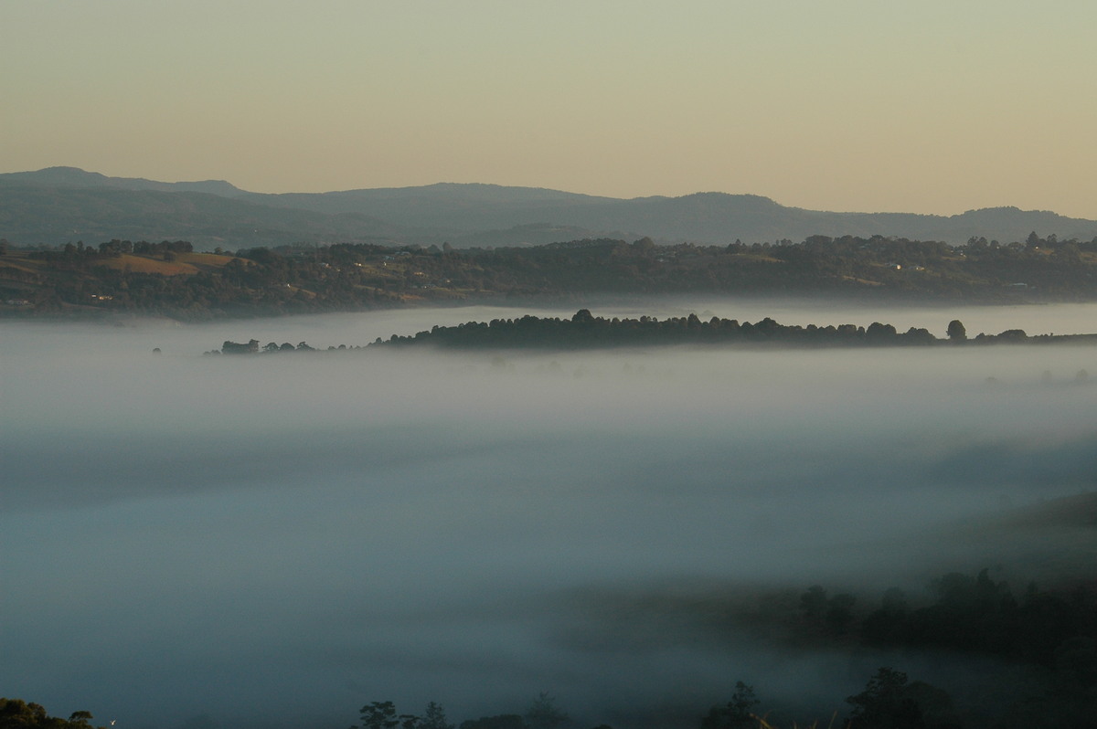 fogmist fog_mist_frost : McLeans Ridges, NSW   28 August 2004