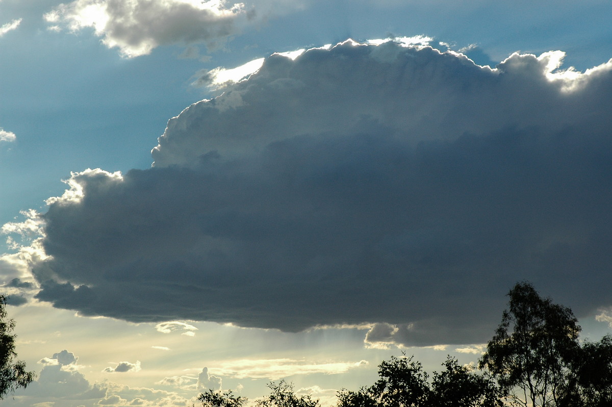 cumulus congestus : Grandchester, QLD   28 August 2004